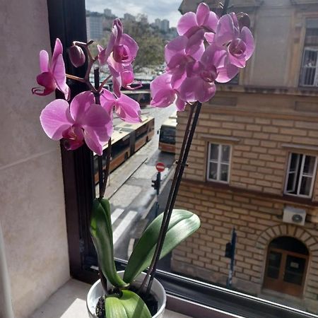 Appartement Apartman Vesna à Rijeka Extérieur photo