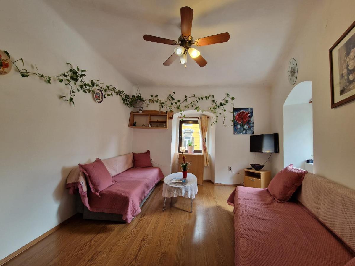 Appartement Apartman Vesna à Rijeka Extérieur photo